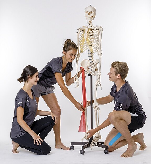 Drei junge Leute in Sportkleidung demonstrieren an einem Skelettmodell eine Übung mit einem roten Theraband. Eine Person steht und befestigt das Band am Arm des Skeletts, zwei knien daneben und halten es. Szene vermittelt Physiotherapie oder Trainingsanleitung.